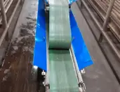 Mushroom harvesting equipment Dutch farmer