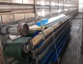 Mushroom harvesting equipment Dutch farmer
