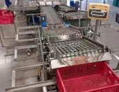 Mushroom harvesting equipment Dutch farmer