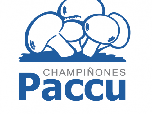 Paccu Peru